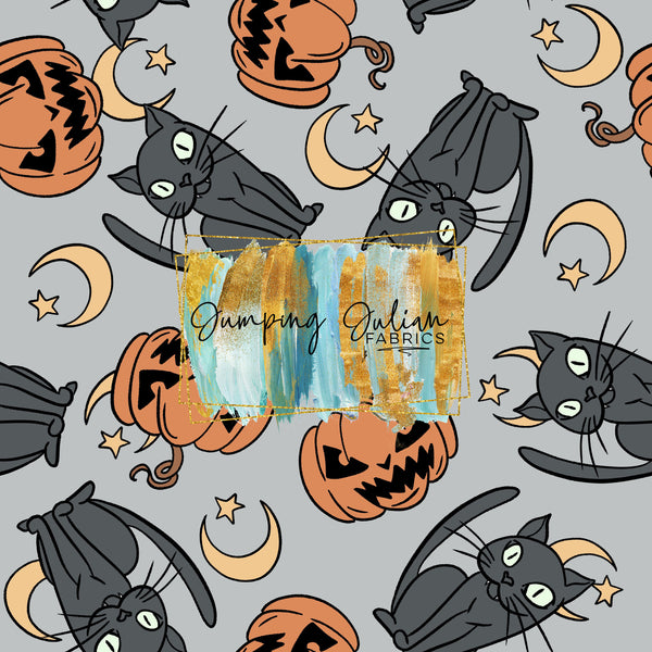 *In-House* Black Cats & Pumpkins